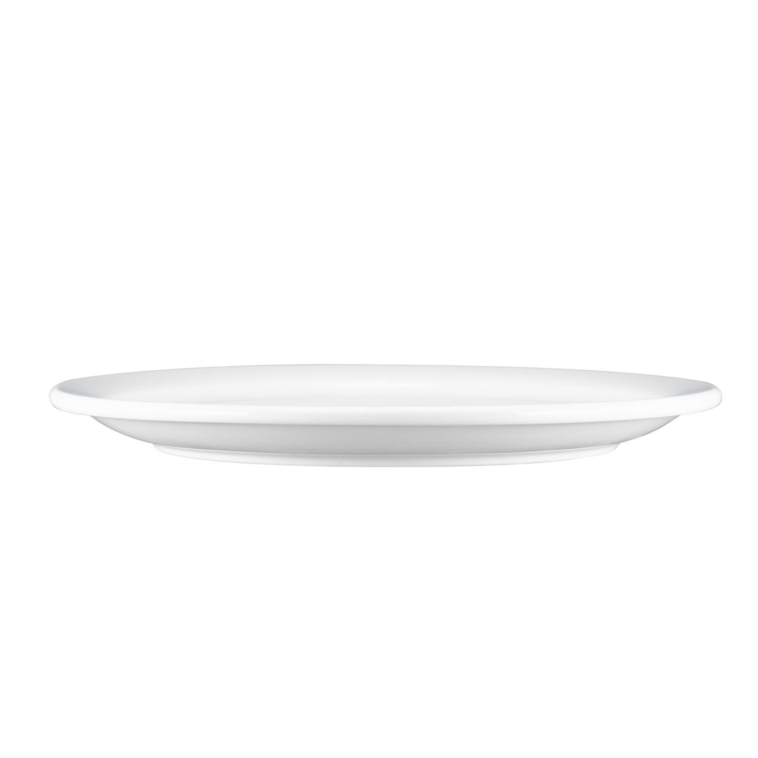 Palm Porcelain Dinner Plate 10.4