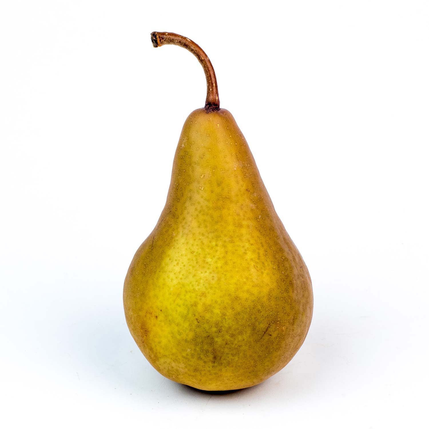 Bosc Pears 44 lb-secondary-image