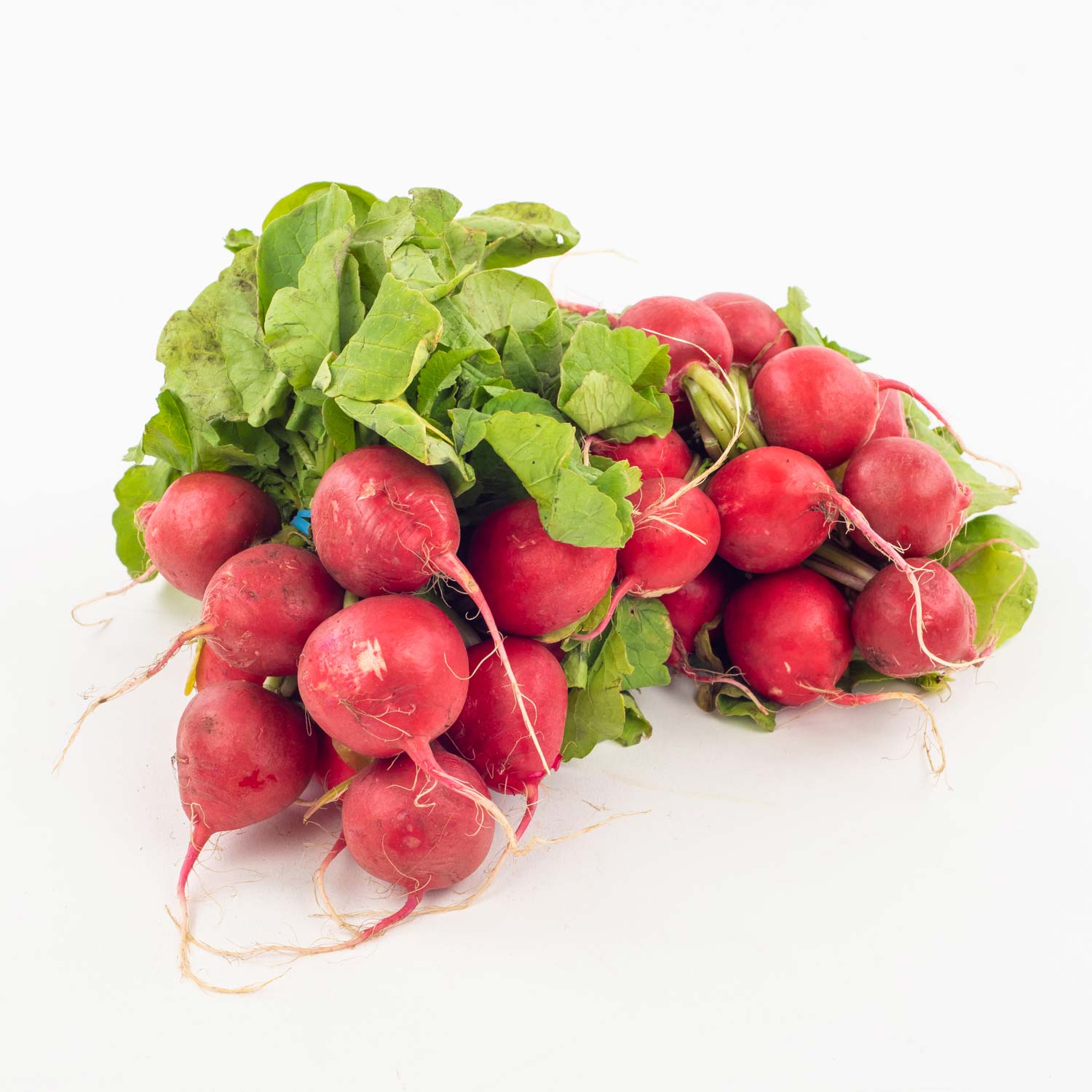 Pink Radish-secondary-image