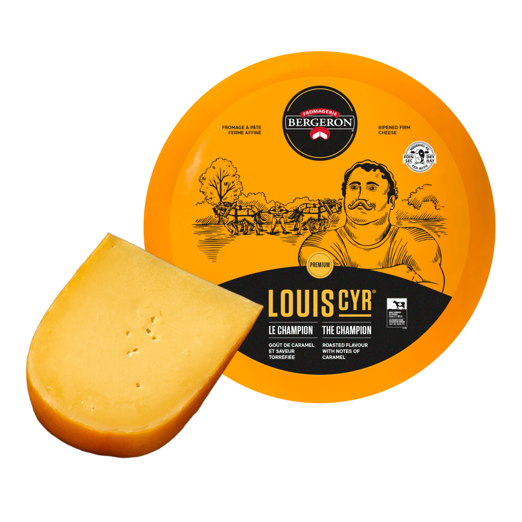 Louis Cyr Old Gouda Cheese Wheel 4 kg