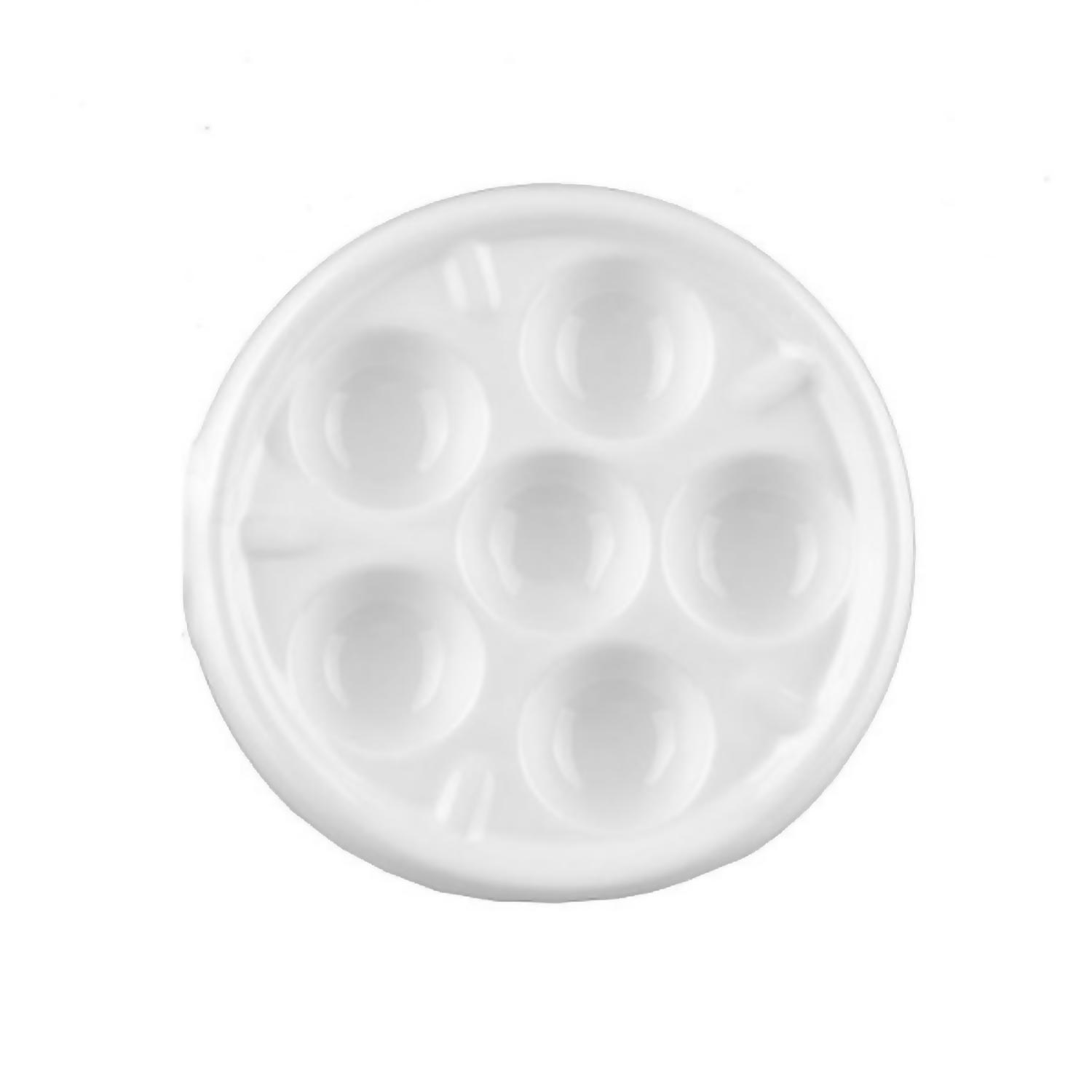 Porcelaine Snails Plate