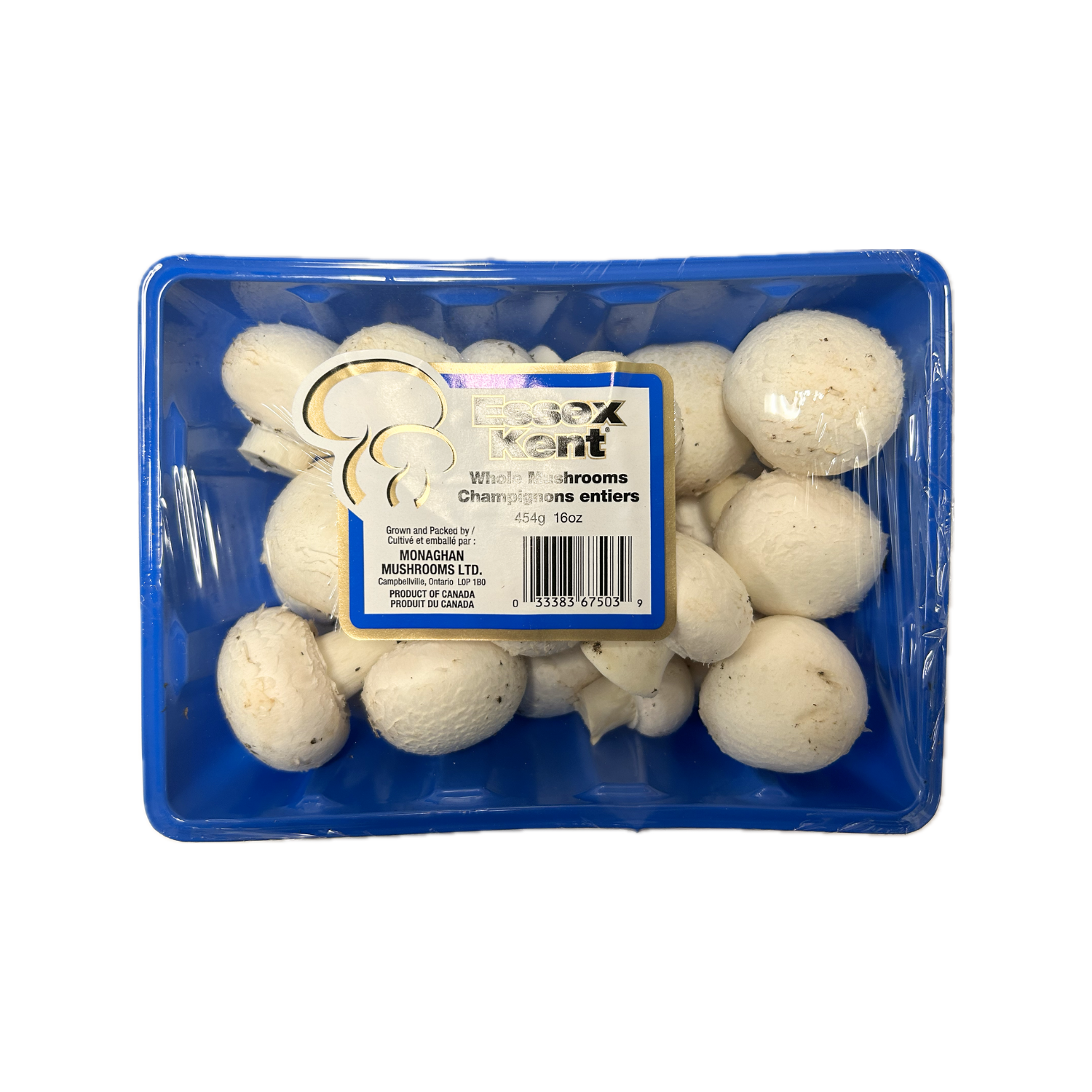 White Mushrooms 16 oz