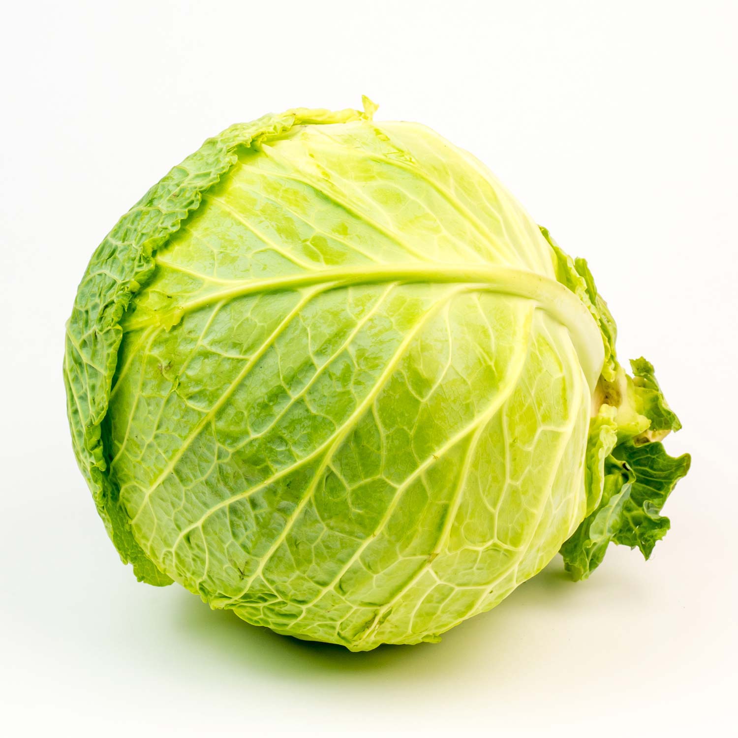 Savoy Cabbage 50 lb