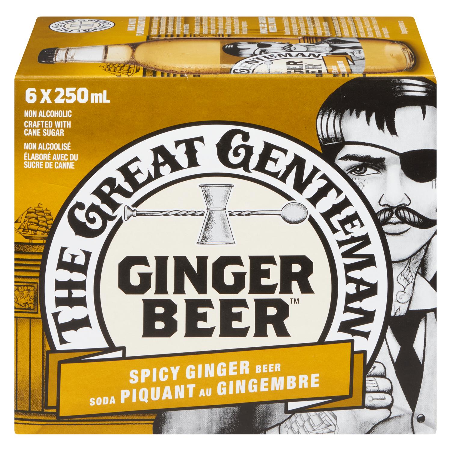 Ginger Spicy Soda 250 ml x6