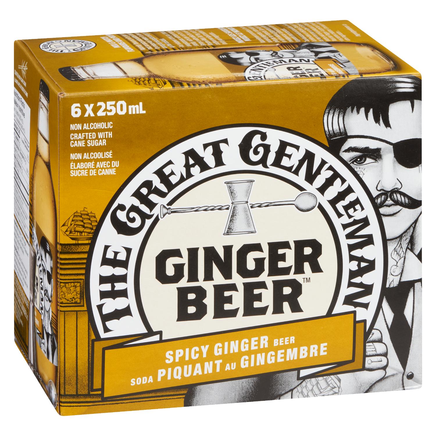 Ginger Spicy Soda 250 ml x6-secondary-image