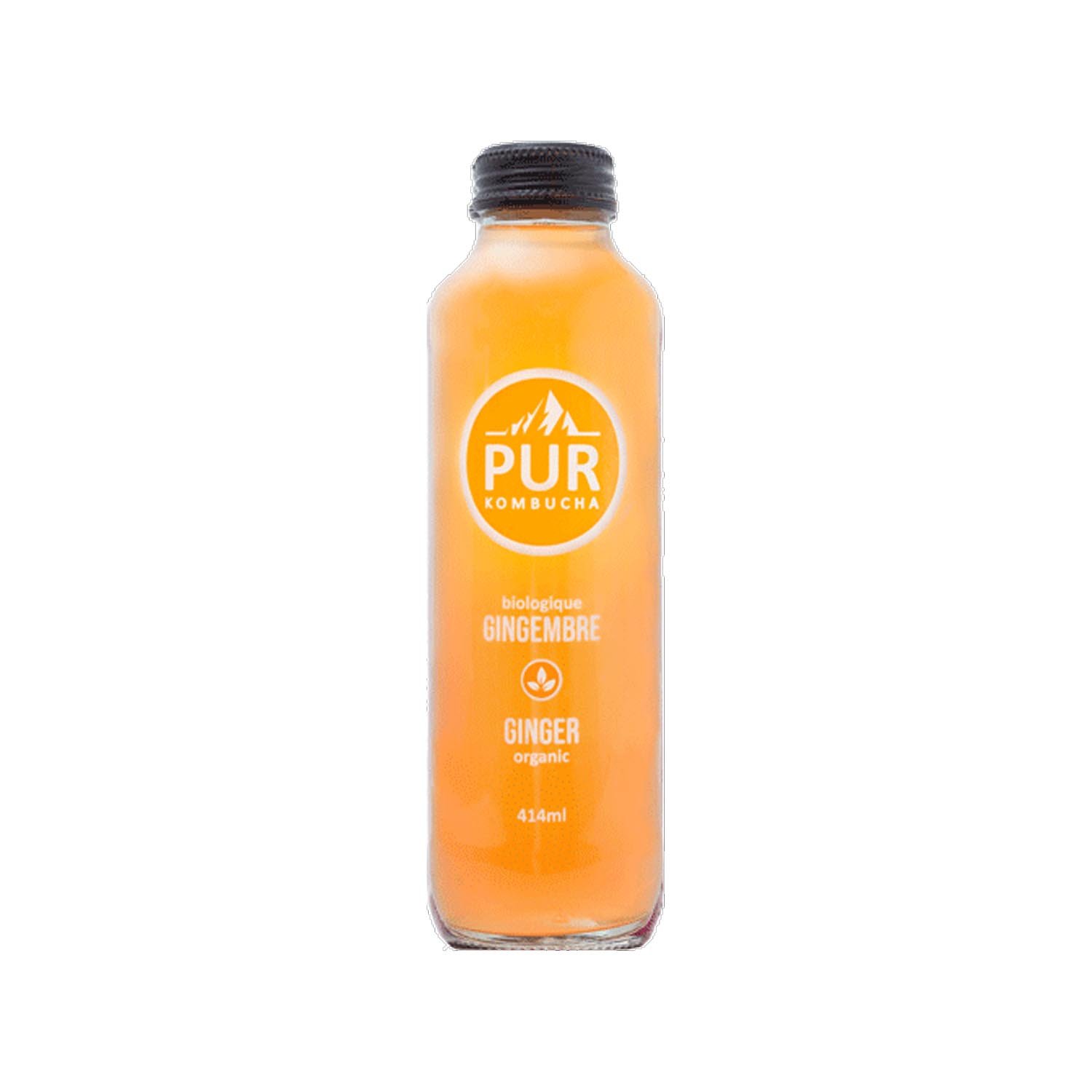 Organic Ginger Kombucha 414 ml