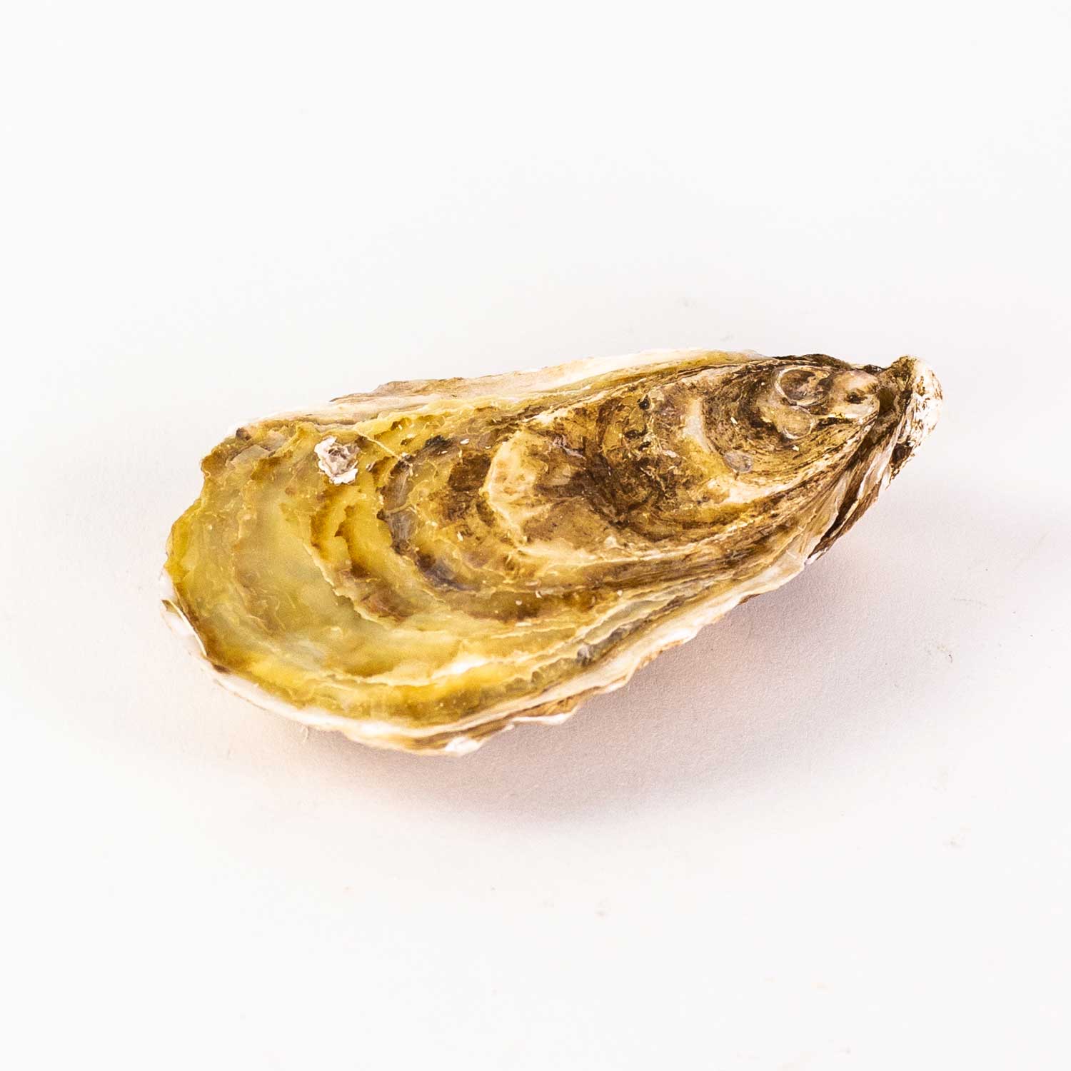 Fresh French Kiss Oysters x18-secondary-image