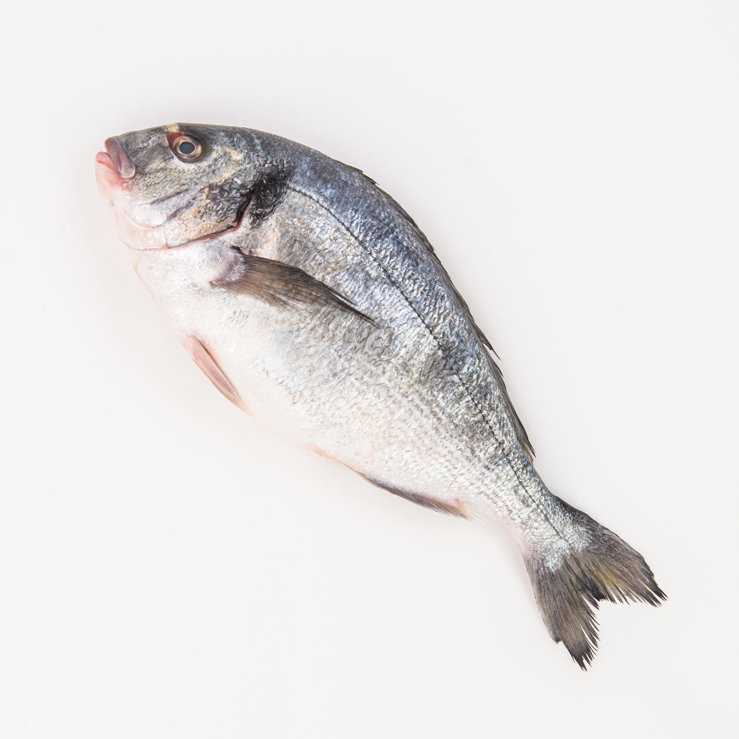 Whole Royal Sea Bream 500 g