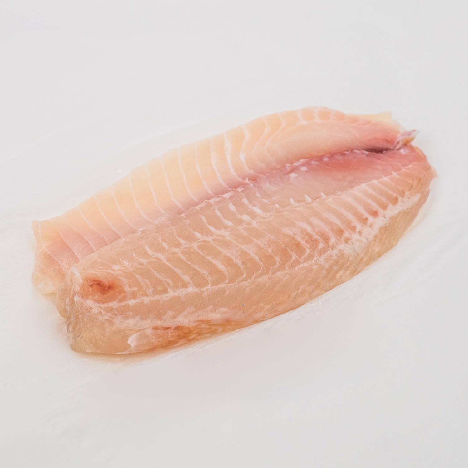 Fresh Tilapia Fillet