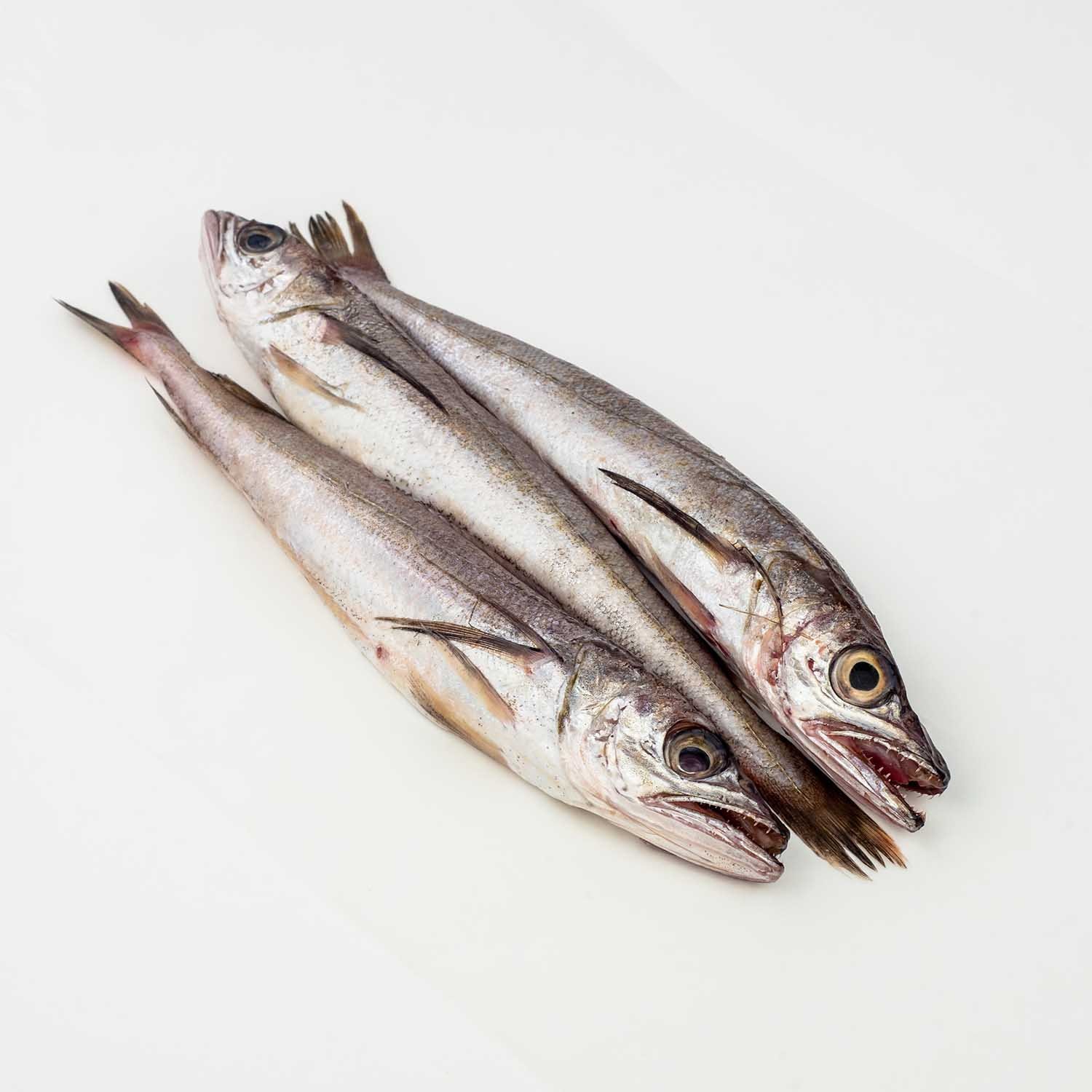 Whole Fresh Whiting 300 g