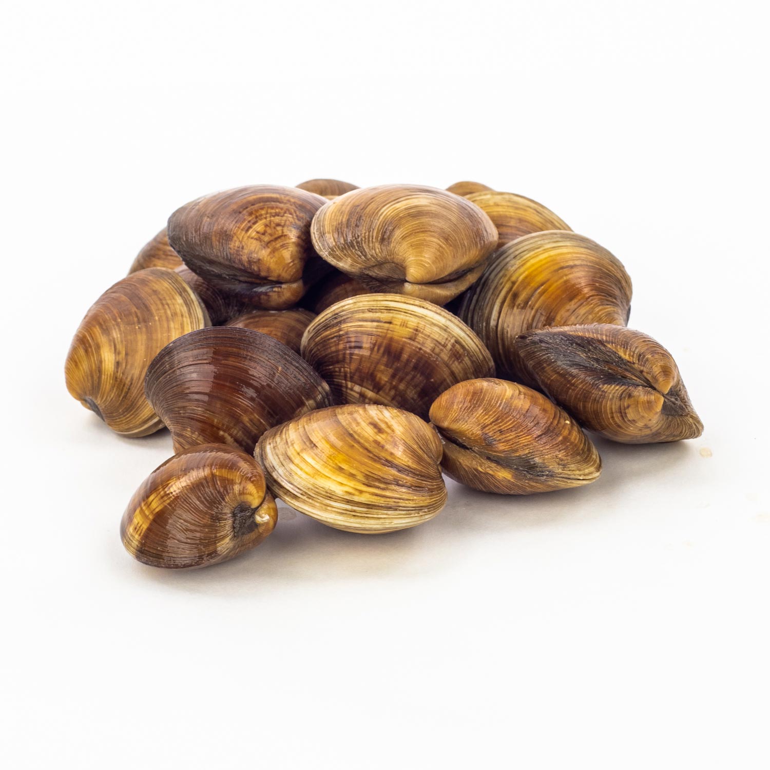 Fresh Pasta Clams 500 g