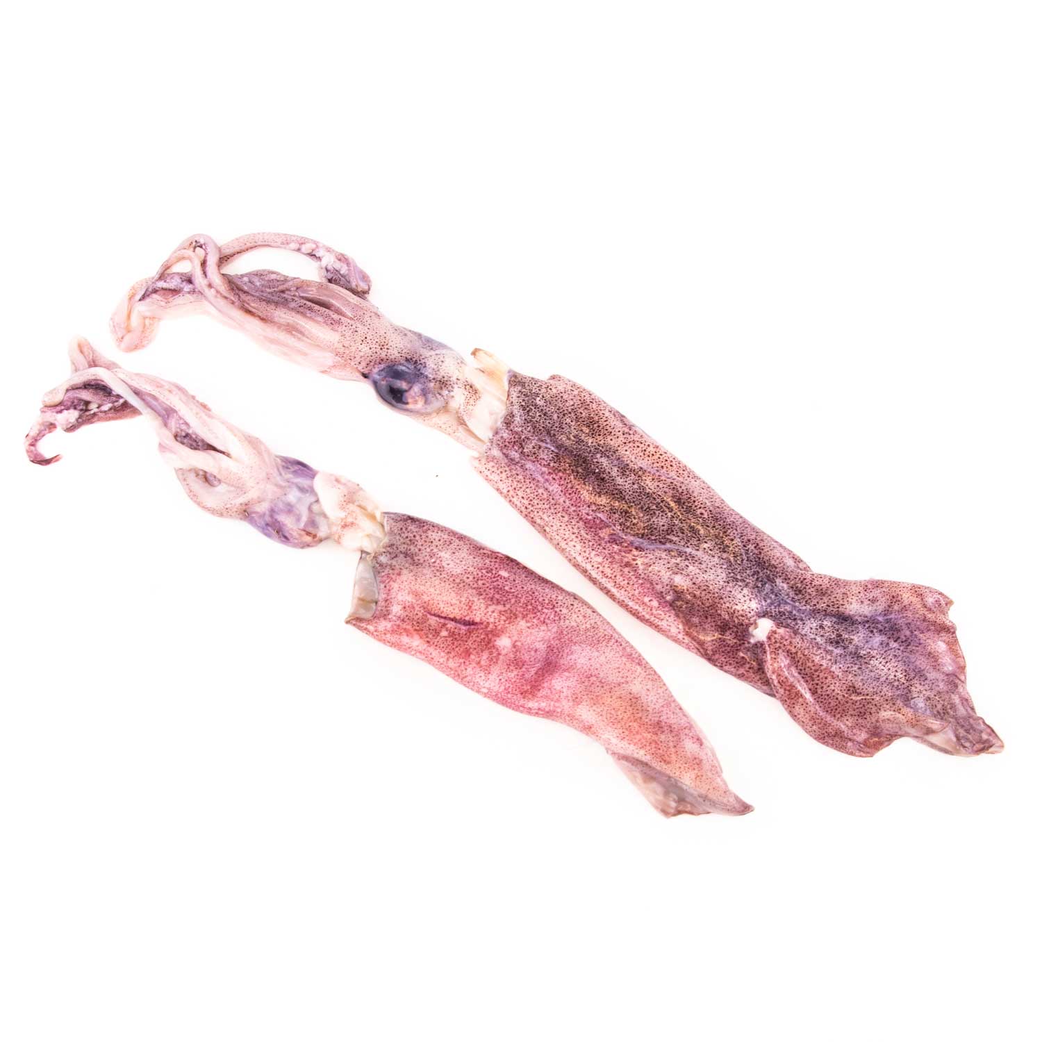 Fresh Squid 400 g