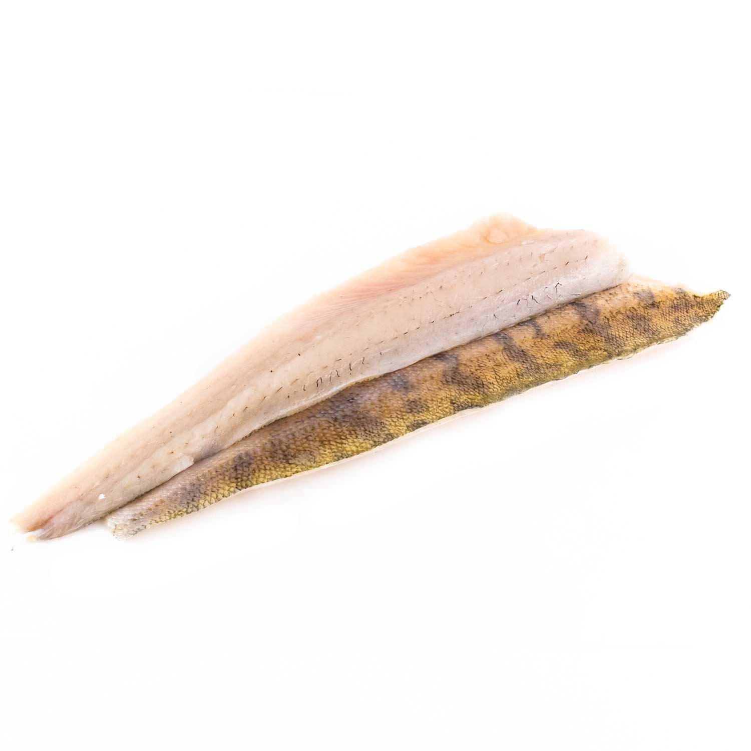 Fresh Lake Walleye Fillet