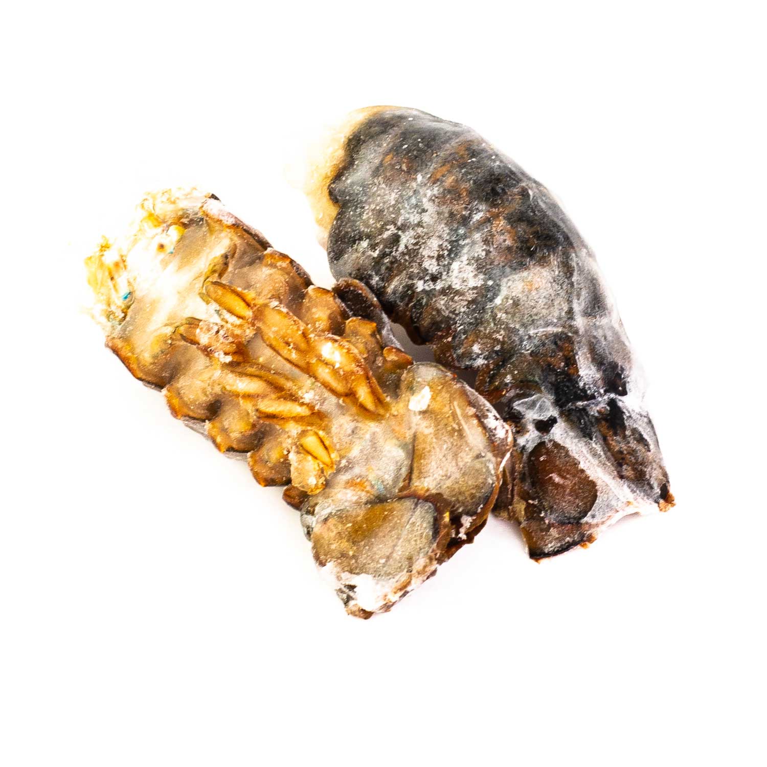 Frozen Lobster Tails from Quebec 4 to 5 oz x2
