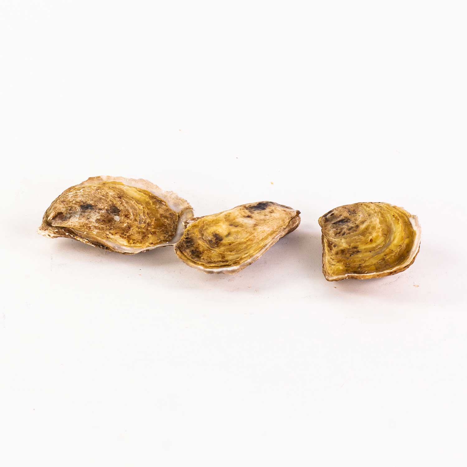 La Grande Entrée Oysters x20-secondary-image