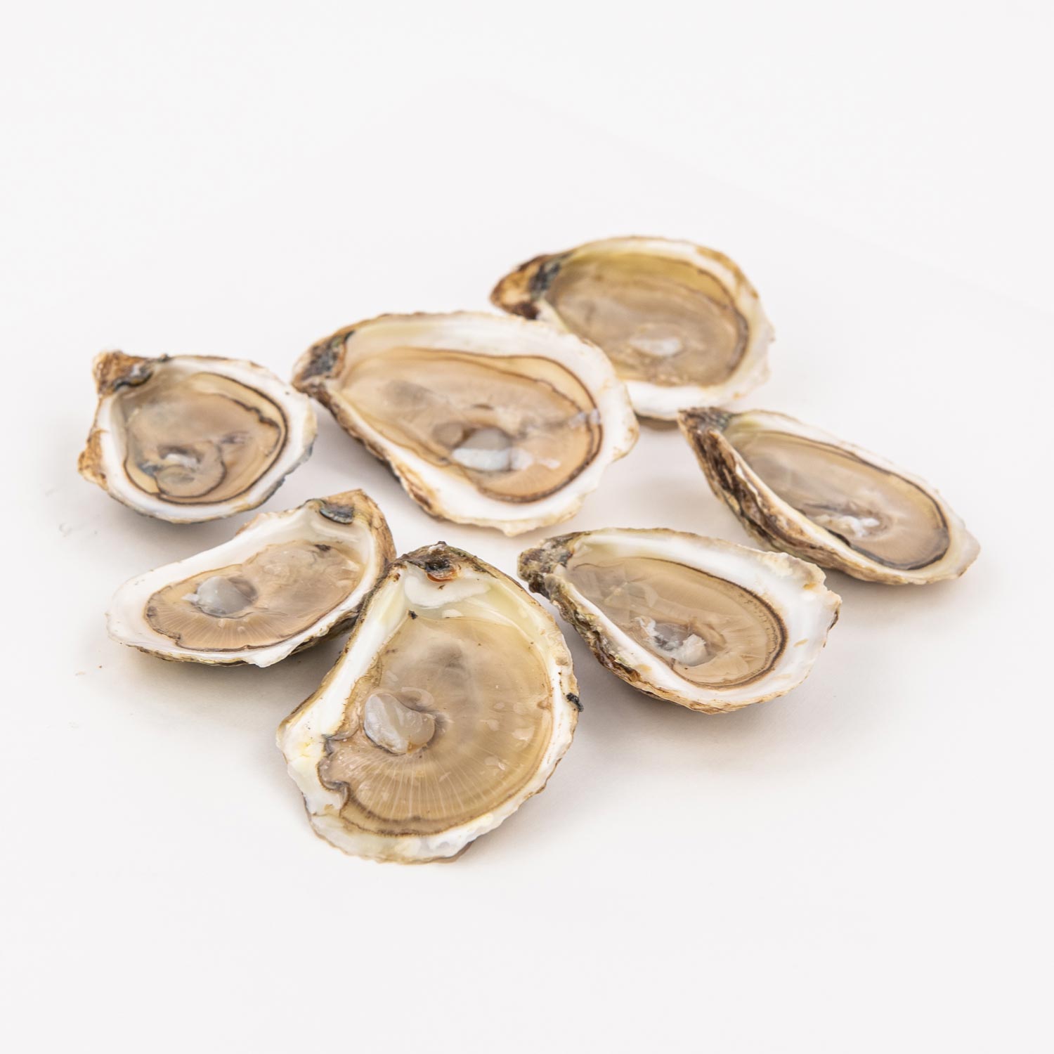 Trésor du Large Oysters x18-secondary-image