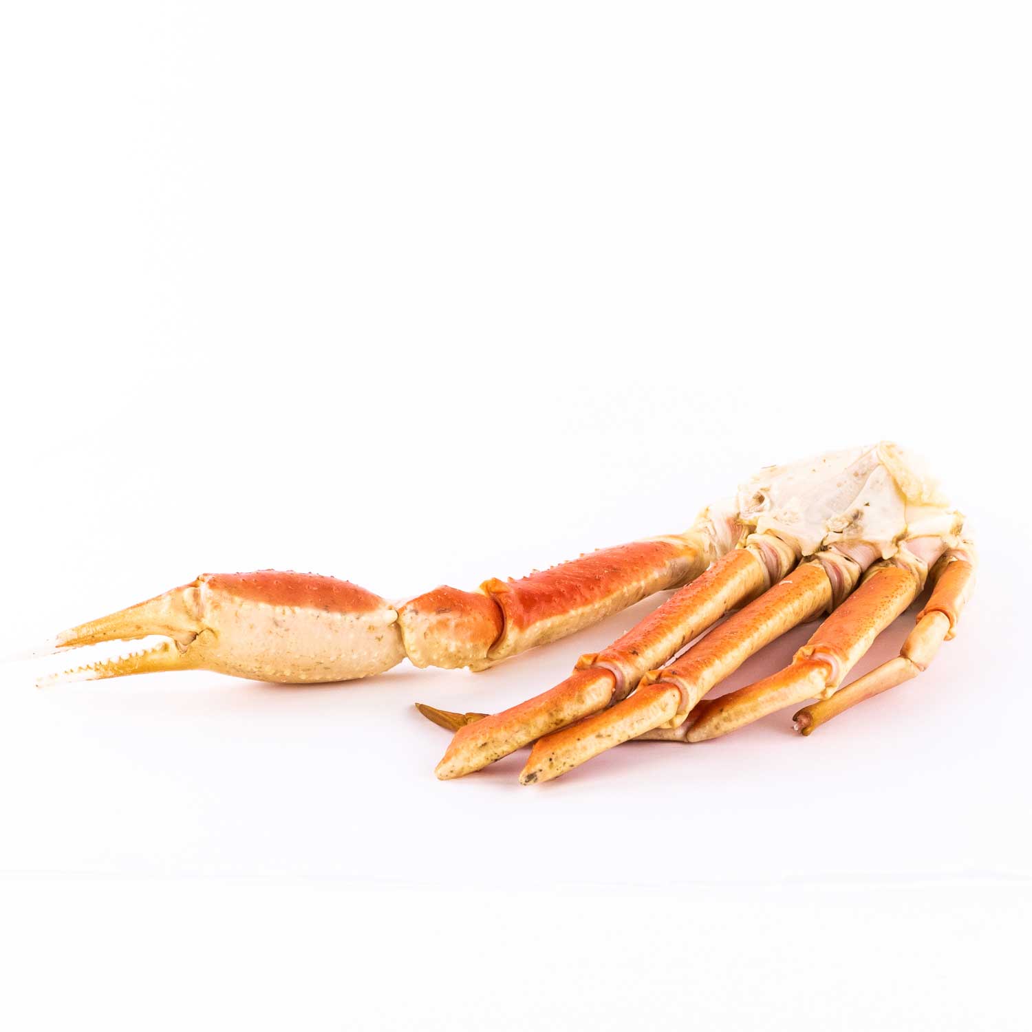 Cooked Snow Crab