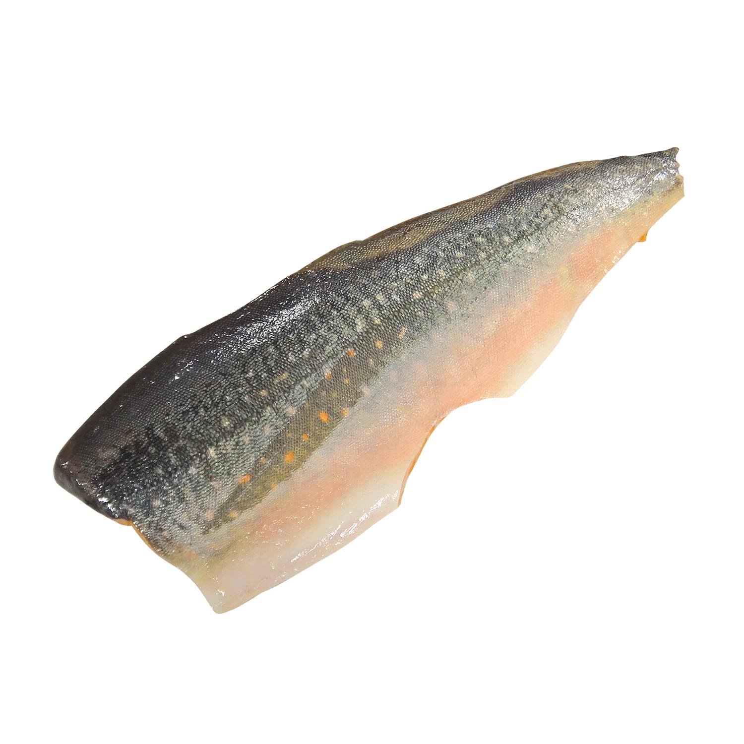 Fresh Artic Char Fillet