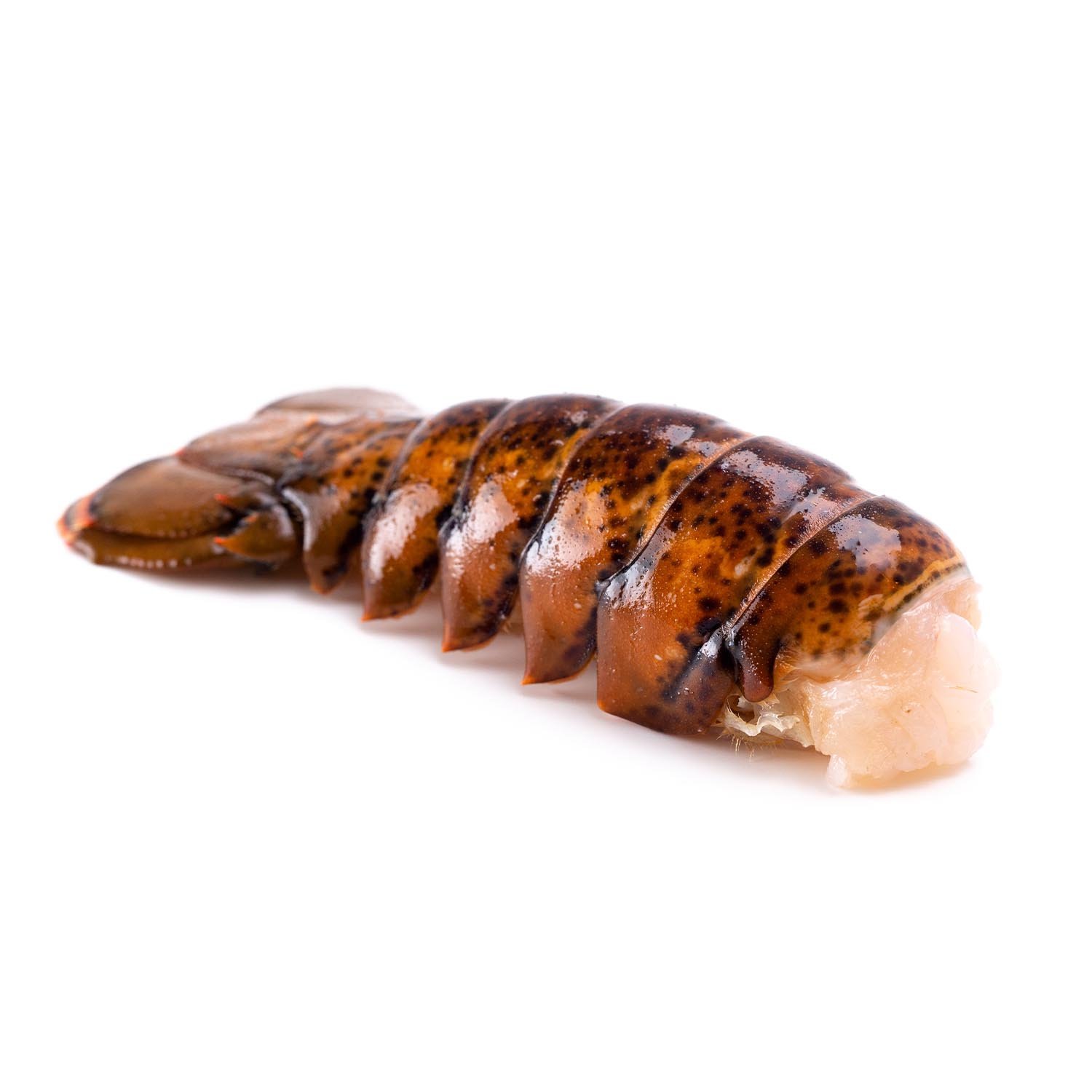 Thawed Lobster Tail 2/3 oz