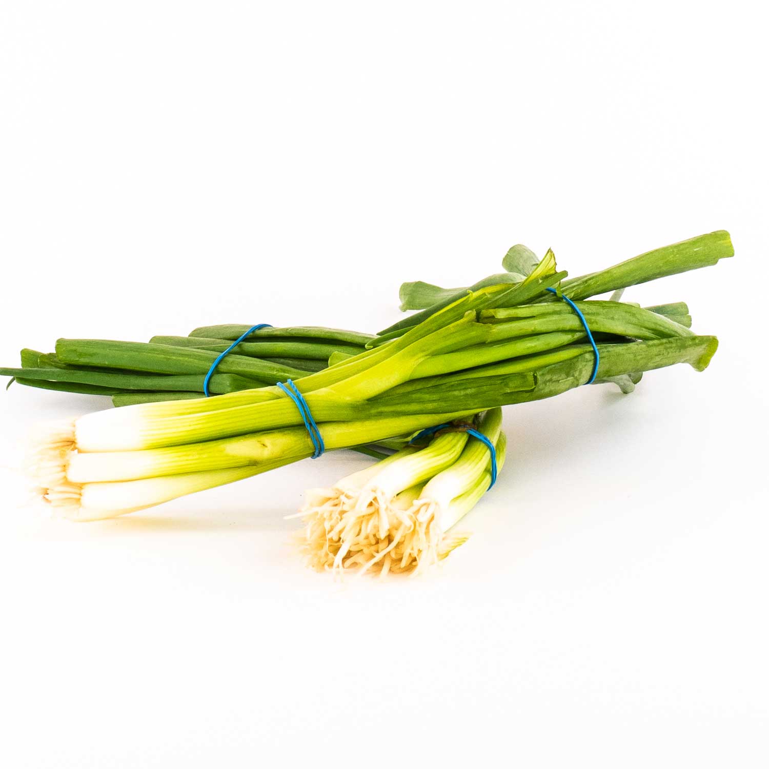 Green Onions x6