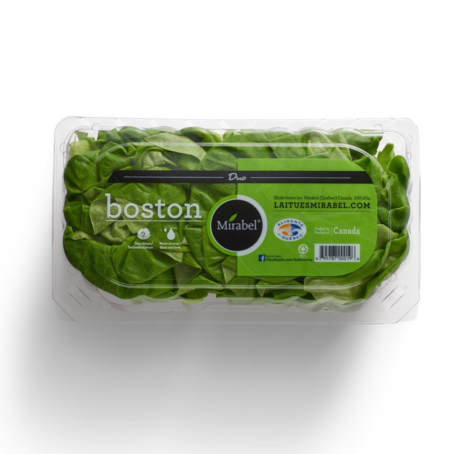 Boston Lettuce x2-secondary-image