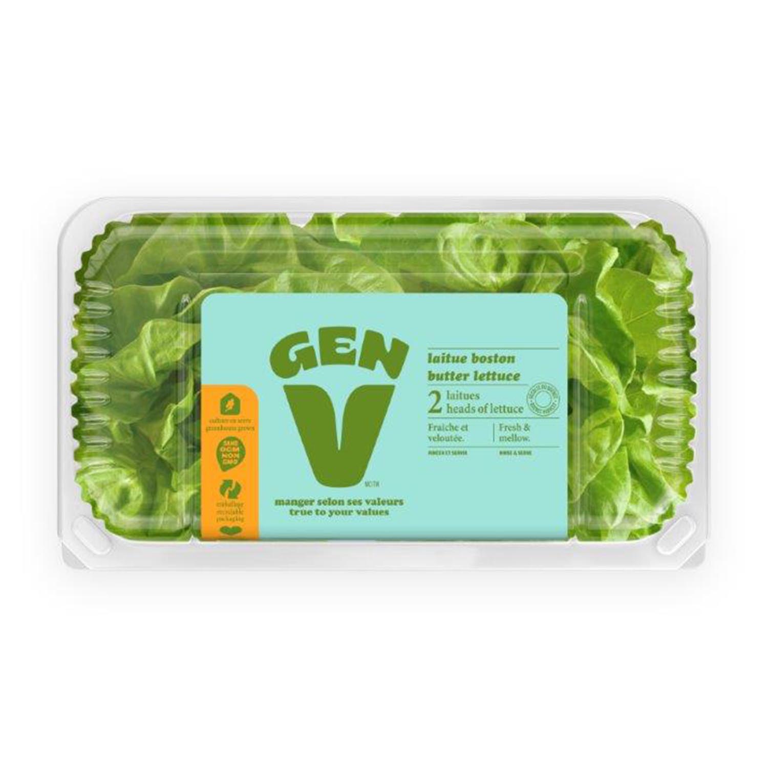 Boston Lettuce x2-tertiary-image