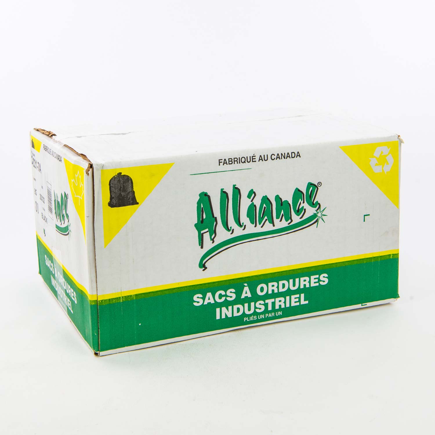 Black Regular Garbage Bag 20 po x 22 po x500