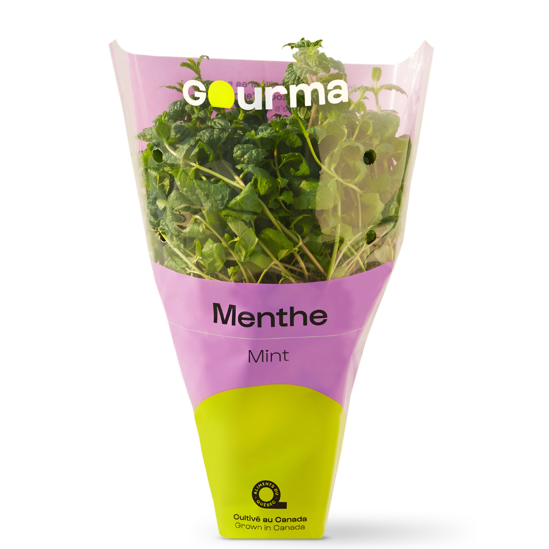 Menthe