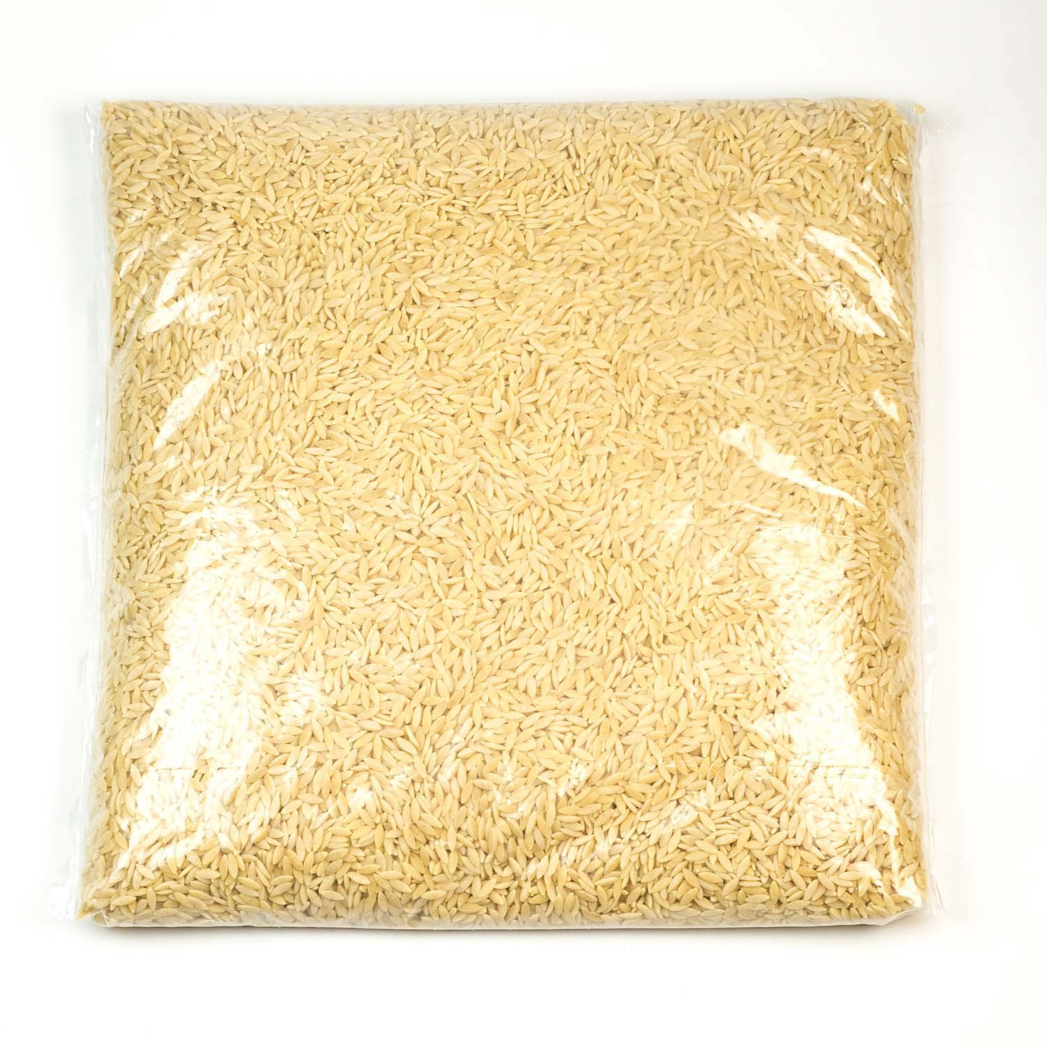 Pâtes orzo 10 lb